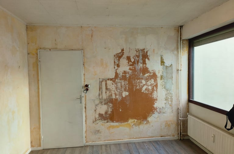 studio en cours de rénovation tout le revêtement mural est enlever