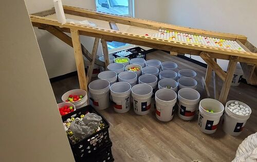 Used golf balls organized in white buckets and sorted on a wooden processing table for resale.