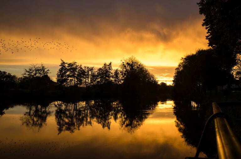 a sunset over a river with birds flying over it
