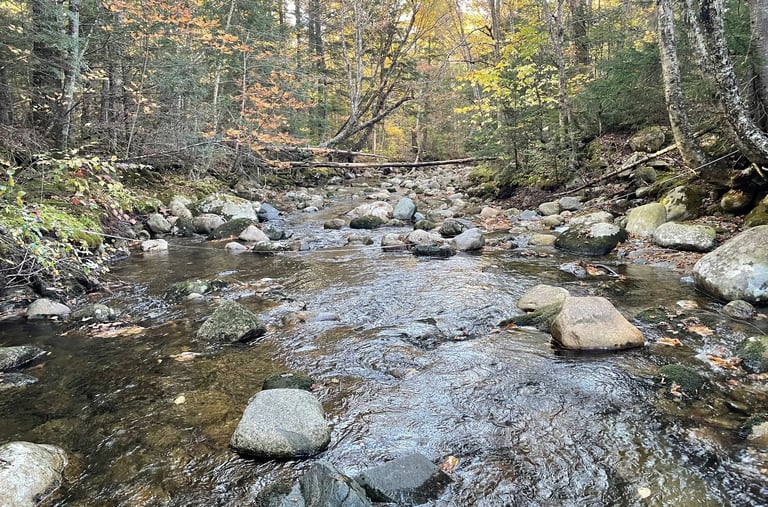 a stream running through a wooded area with rocks and trees