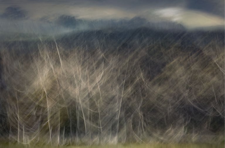 Dreamlike abstract photograph of slender trees layered over a moody mountain landscape, created with camera motion