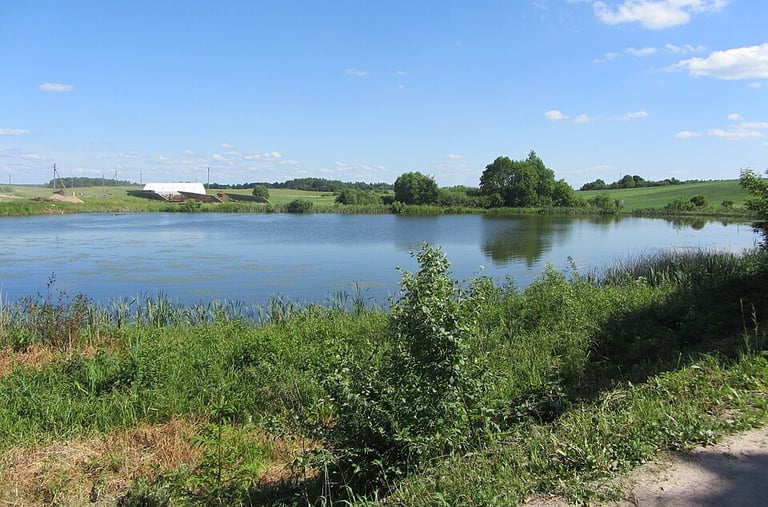Laumėnų tvenkinys