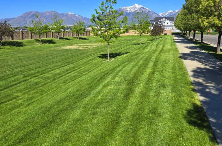 Commercial Maintenance Company