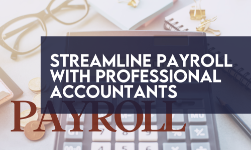 Streamline Payroll with Professional Accountants