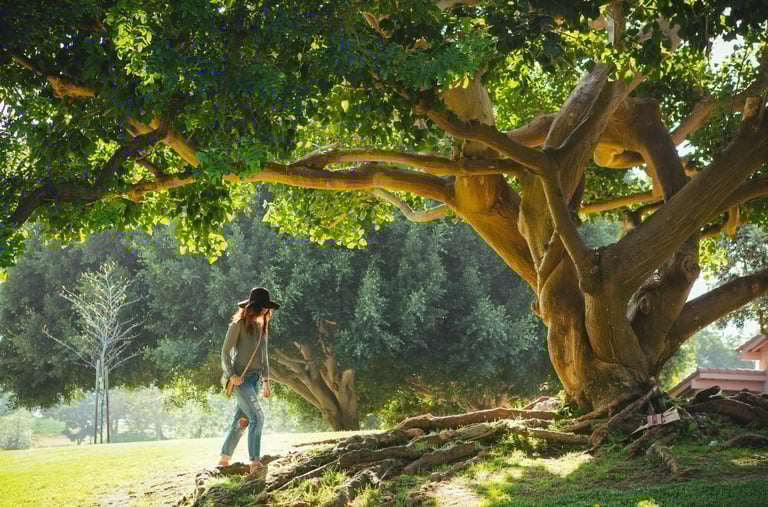 Brava Braun in a hat and jeans calmly walking under a tree