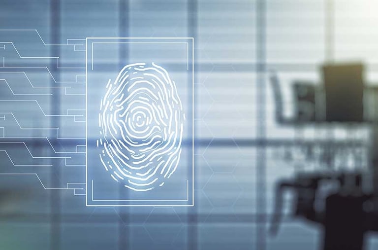 Seguridad Complementaria