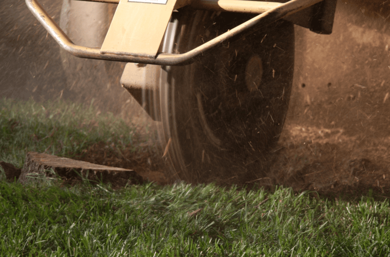 Stump Grinding