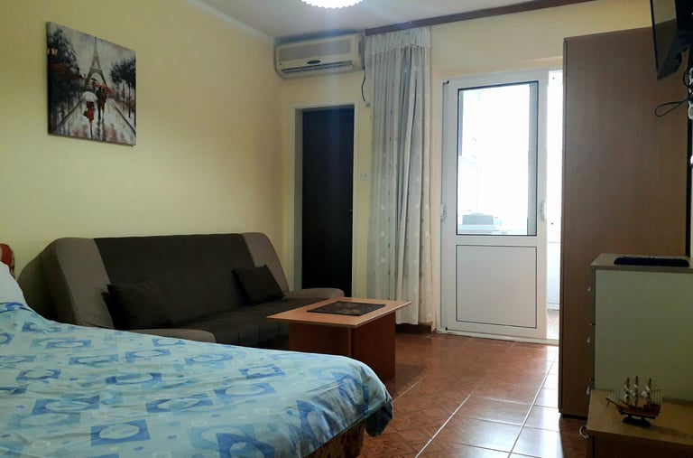 a bed room with a couch and a television