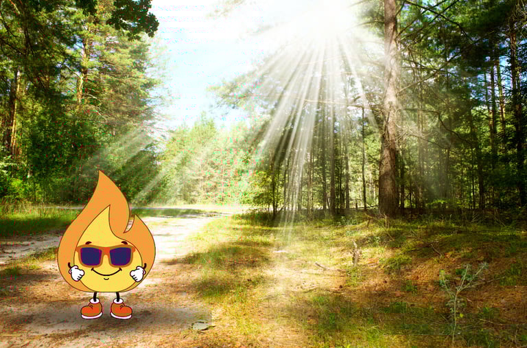 Flamme de MaxThomasBois est dans une forêt c'est la star avec ces lunette