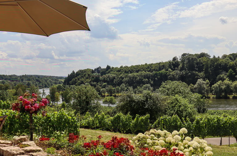 Weingut Carlsfelsen