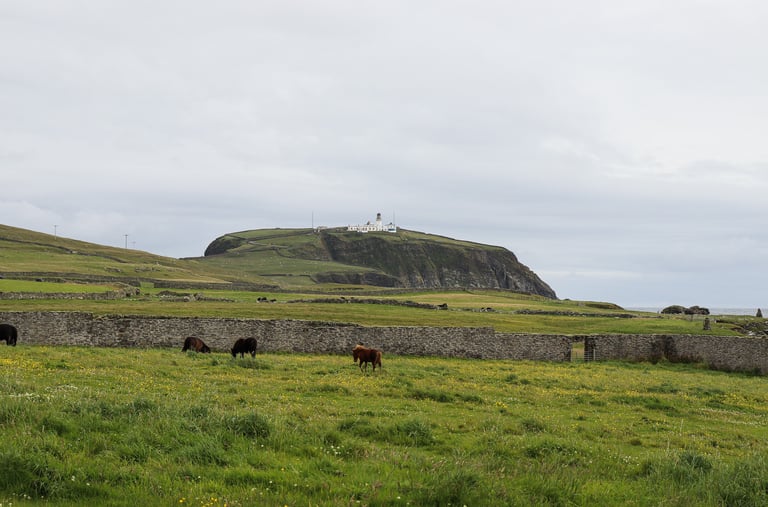 Sumburgh Head Lighthouse Shetland