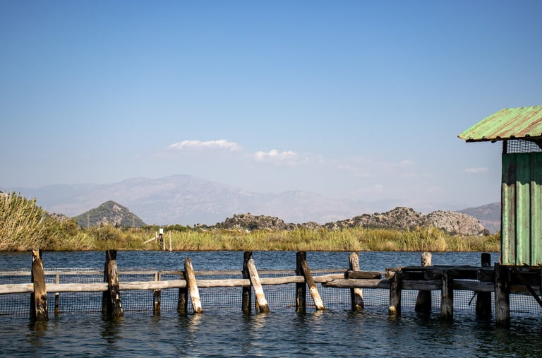 Dalyan delta