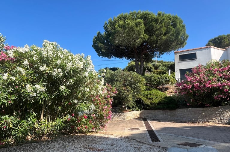 Le parking et la location