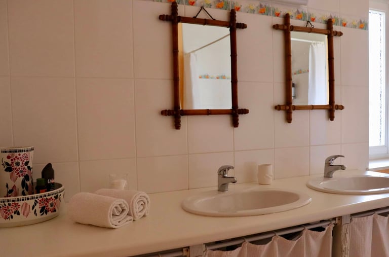 Gîte de Lamartinerye - Salle de Bain