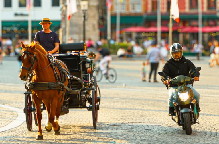 a horse drawn carriage with a man in a hat and a horse drawn carriage