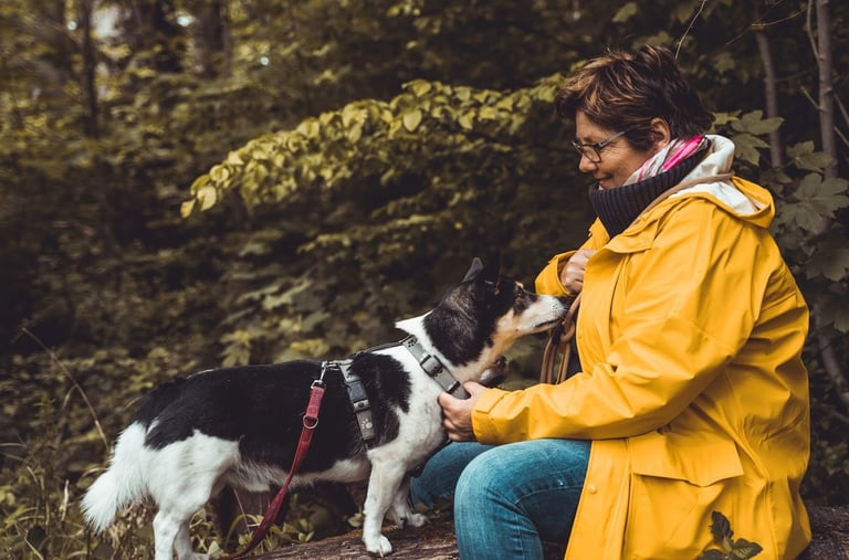 Marion Lindhof im Wald mit Mischling bei einer Aufmerksamkeiitsübung