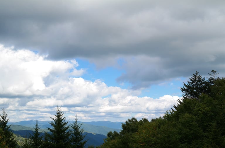 late afternoon in the Great Smoky Mountains