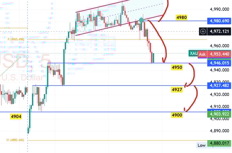 XAU/USD Gold Technical Analysis 13 Feb 2026