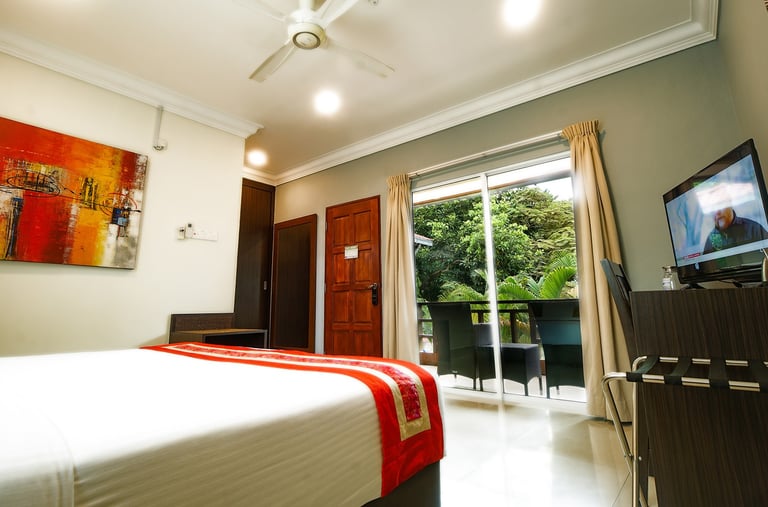 Deluxe Double or Twin Room