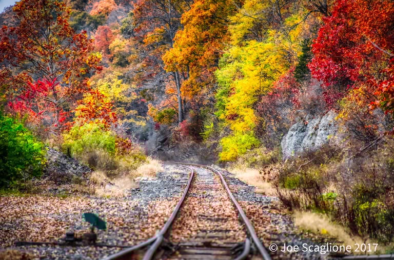 Along the tracks in Lansing NY