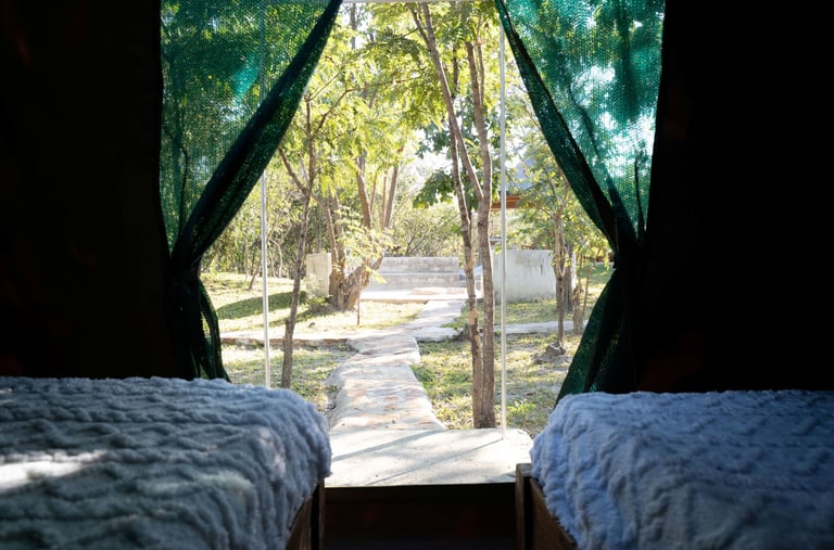 View from tent
