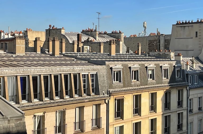 Vue sur des toits d'immeubles parisiens