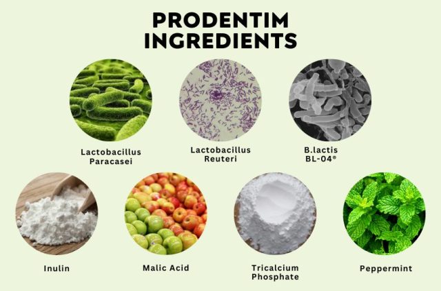 ProDentim ingredients including Lactobacillus Paracasei, B.lactis BL-04, Inulin, and Malic Acid for oral health.