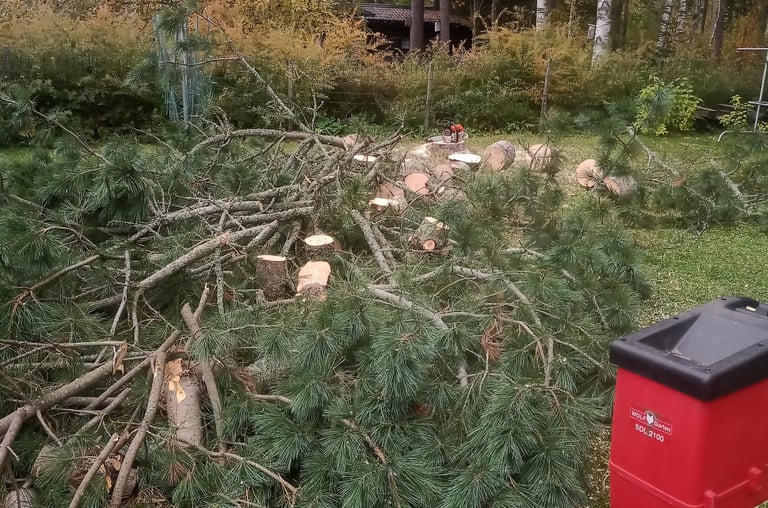 pihapuunkaato varkaus