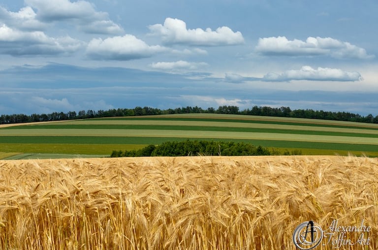 Aller à la page Temps Suspendu et découvrez de nouveaux détails dans chaque photo de paysage.