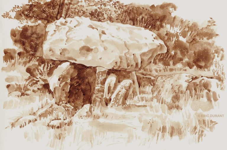 Lavis de brou de noix  sur papier A4 - © Eric Durant