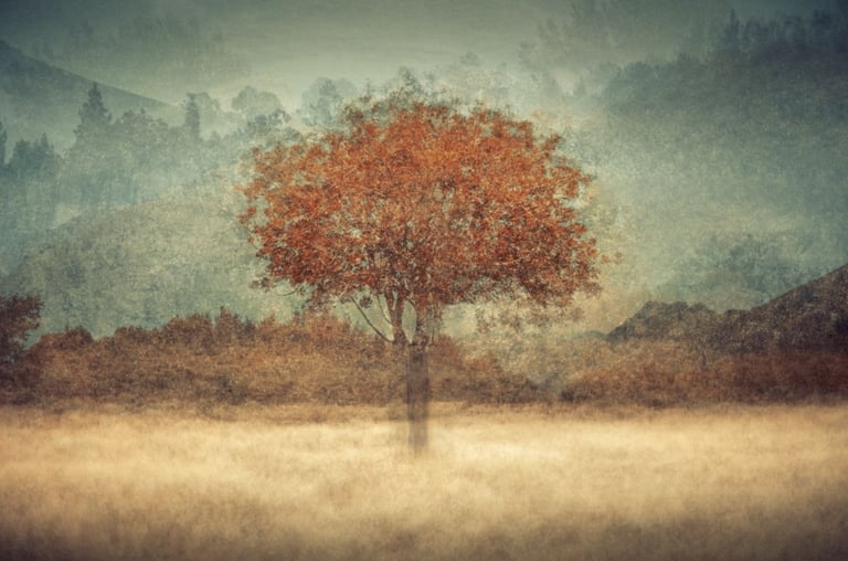 Ethereal landscape photograph of a single red tree in soft misty hills from the Aura collection by Martin Osner