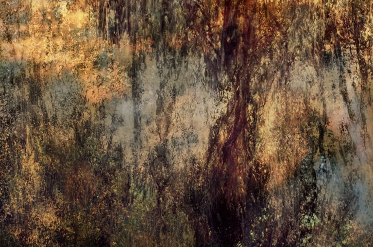 ethereal landscape photography by Martin Osner, abstract forest impression with warm textured colours and layered exposures.