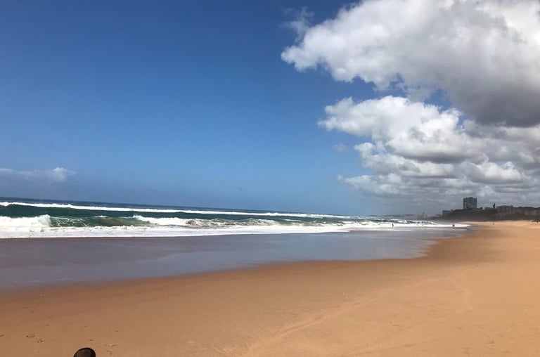 beach and ocean with sky in durban, south africa