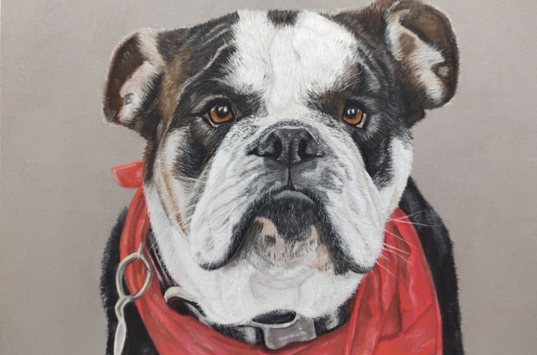Pastel pet portrait, bulldog portrait