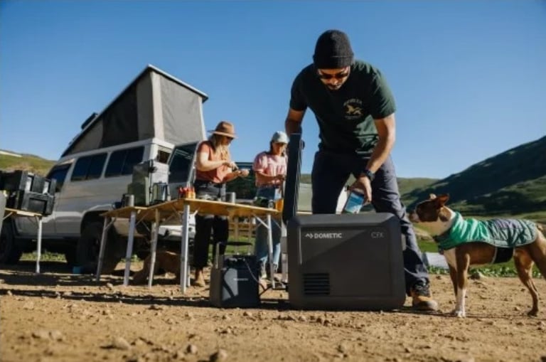 dometic portable fridge coolers for sale near me texas