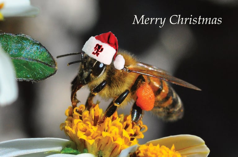 Beekeeping Course,  Voucher