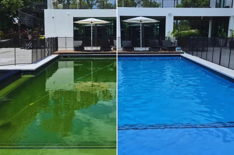 Before and after professional pool cleaning showing green algae water transformed to crystal clear blue.