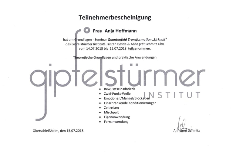 Teilnehmerbescheinigung zur Quantenfeld Theorie