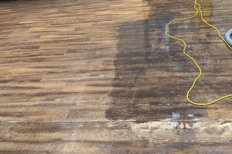 Filthy LVP cleaning in Olympia