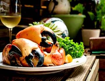 stone-crab-claws-florida