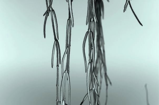 digital art, video installation,  joanna wlaszyn