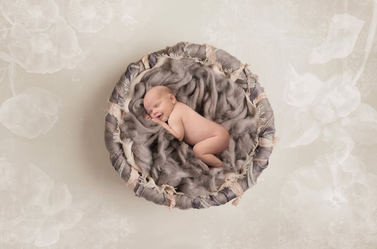 A newborn studio portrait features a peacefully sleeping baby, elegantly posed with soft fluffy wool and delicate lighting.