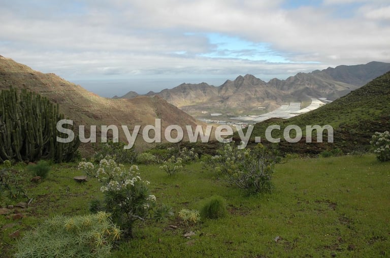 La Aldea desde el camino de Gu-Guy. Isla de Gran Canaria