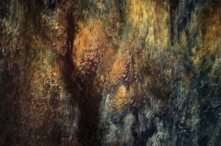 Ethereal landscape photography by Martin Osner, abstract forest scene inspired by Van Gogh with rich swirling brush strokes