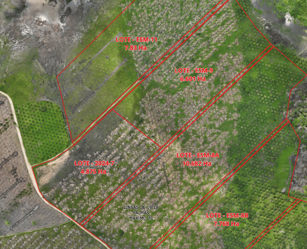 Design of a palm oil cultivation