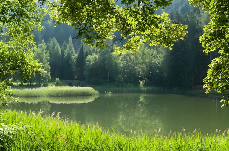 Projekt voda in vodni viri