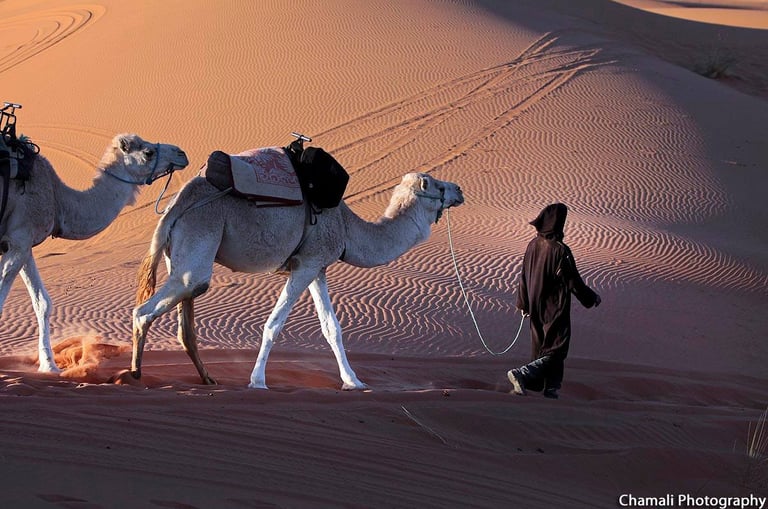 morocco photography tours
