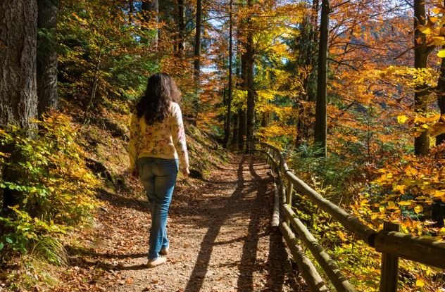 femme marchant seule sur un chemin forestier, symbole d’un accompagnement pas à pas