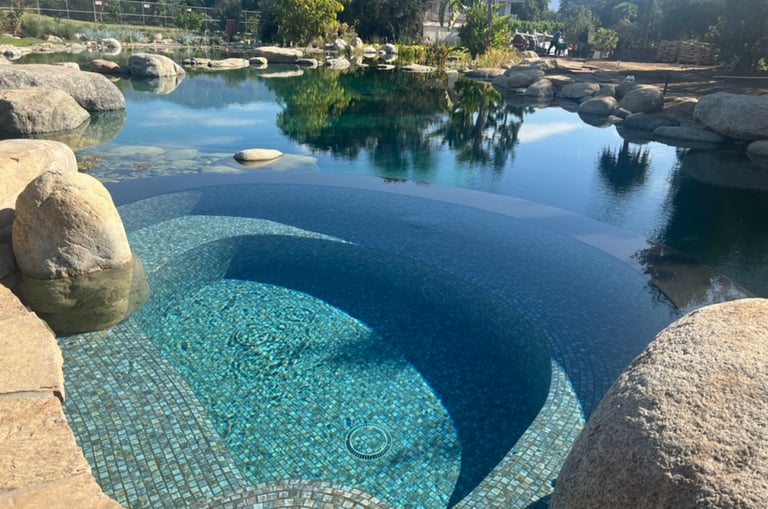 Natural swimming pool with integrated soaking tubs and biological plant filtration in Malibu, CA.