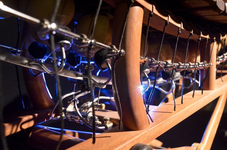 Primer plano del balafón de pedal XBala